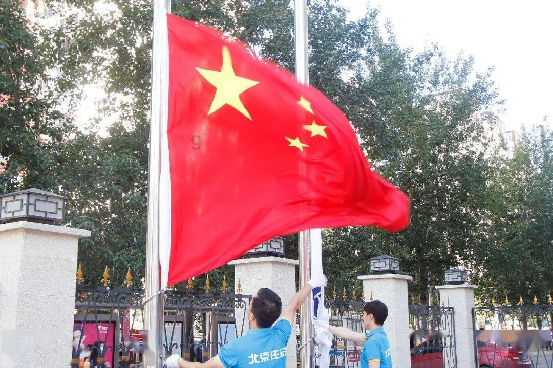 救援有趣的狮子