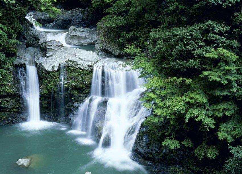 逃离复古经典房屋