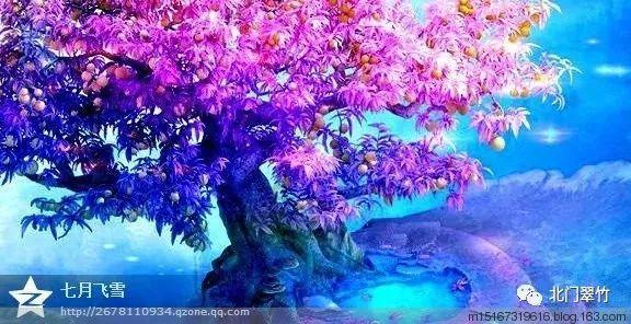 逃离变色龙森林